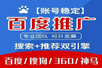 某电商平台的SEM关键词策略及成效分析